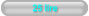 25 lire