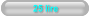 25 lire