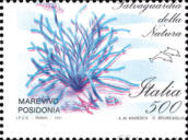 “ colore e Dentellatura spostata ”