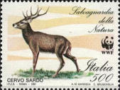 Cervo sardo, policromo.