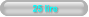 25 lire