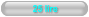 25 lire