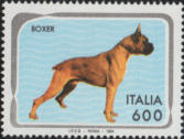 Boxer, policromo.