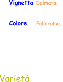 Varietà Vignetta Dalmata.  Colore    Policromo.