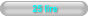 25 lire