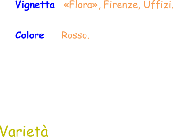 Varietà Vignetta  «Flora», Firenze, Uffizi. Colore    Rosso.