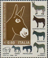Testa di asino e razze italiane tutelate, policromo. 