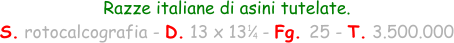 Razze italiane di asini tutelate.  S. rotocalcografia - D. 13 x 13   - Fg. 25 - T. 3.500.000 1 4