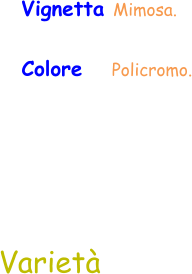 Varietà Vignetta Mimosa. Colore     Policromo.